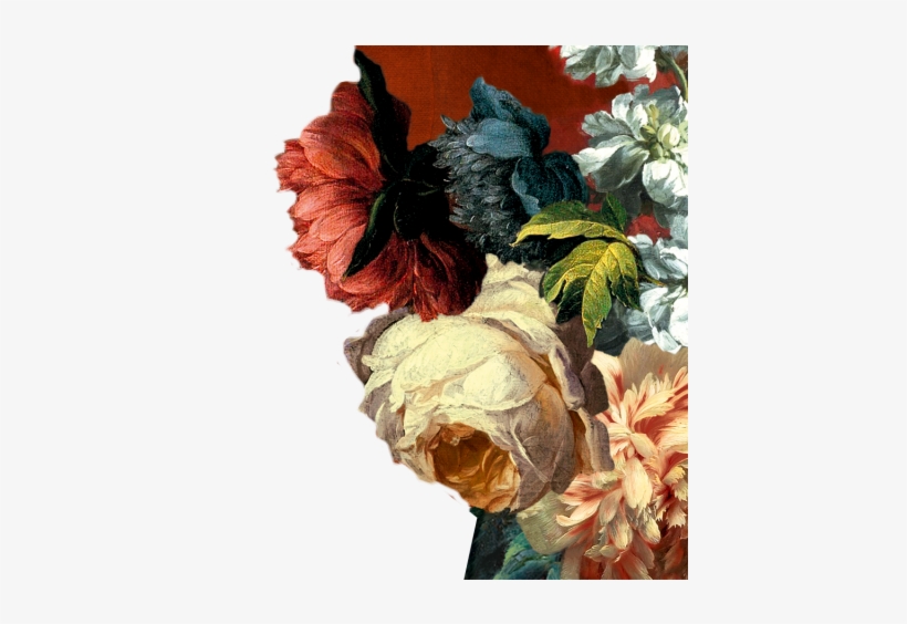 Olive Oil, transparent png #5910312