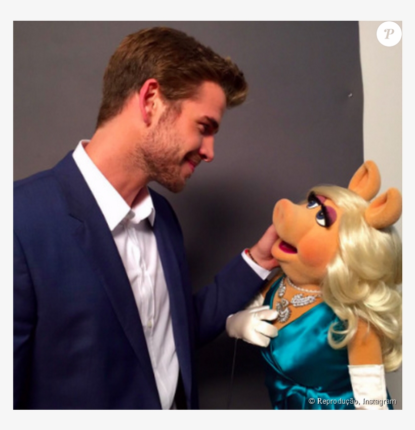 Liam Hemsworth Só Criou Sua Conta No Instagram Em Agosto - Miss Piggy Liam Hemsworth, transparent png #5910684