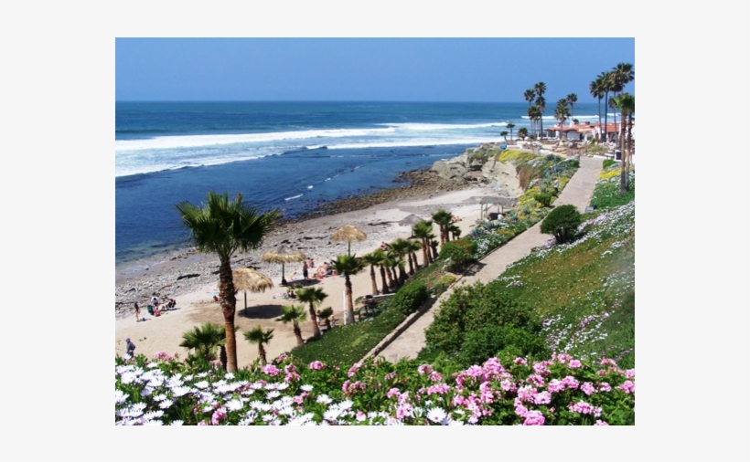 Fabulous Beach Home In Mexico Just 20 Miles South Of - Gaviotas Baja, transparent png #5910777