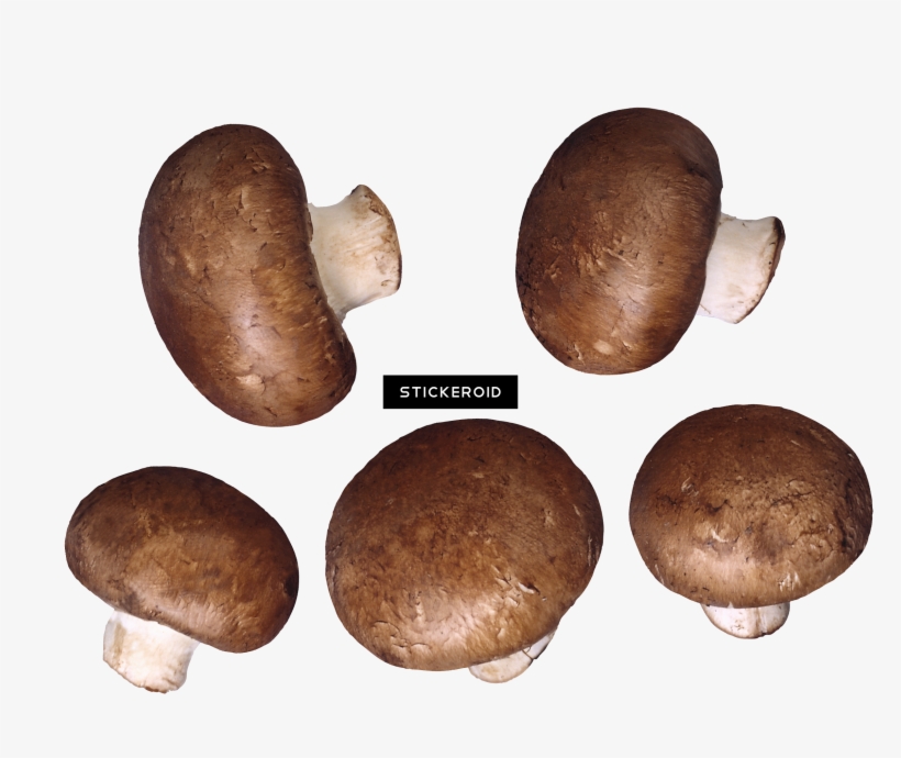 Mushroom, transparent png #5912663