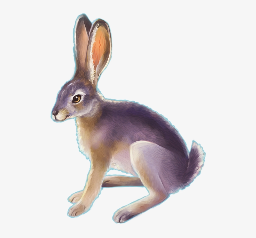Jackrabbit By Teacup Elbows - Conejo Del Desierto Dibujo, transparent png #5914875
