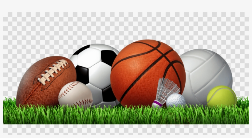 Next Innovations 101411002-sports Sports Three Hook - Next Innovations Sports 5 Hook Coat Rack, transparent png #5916460