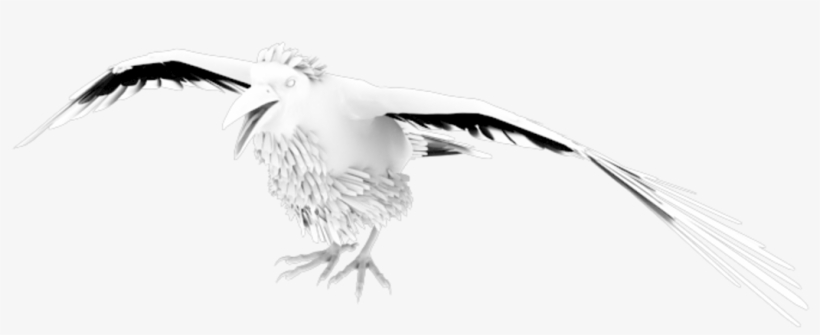 $19 - European Herring Gull, transparent png #5918682