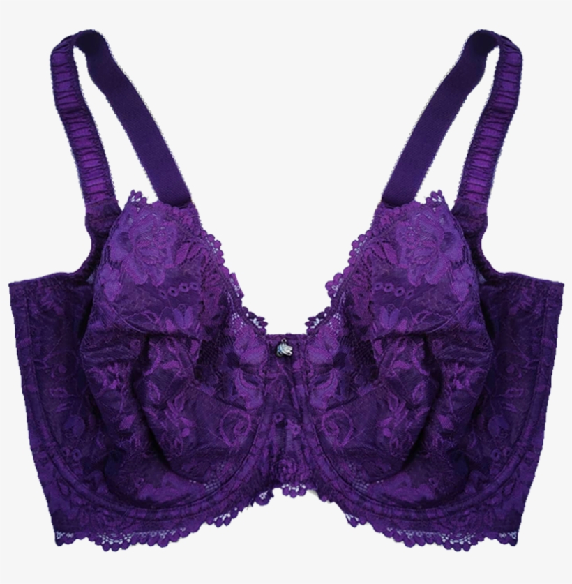 Enhanced Support Serena Lace Bra Crown Jewel Brad04 - Lace, transparent png #5919680