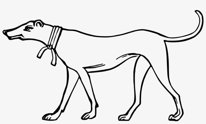 Dog Breed Drawing Animal Cartoon - Dog, transparent png #5920441