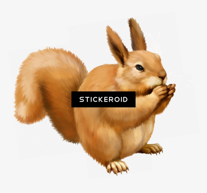 Squirrel - Clip Art, transparent png #5920574