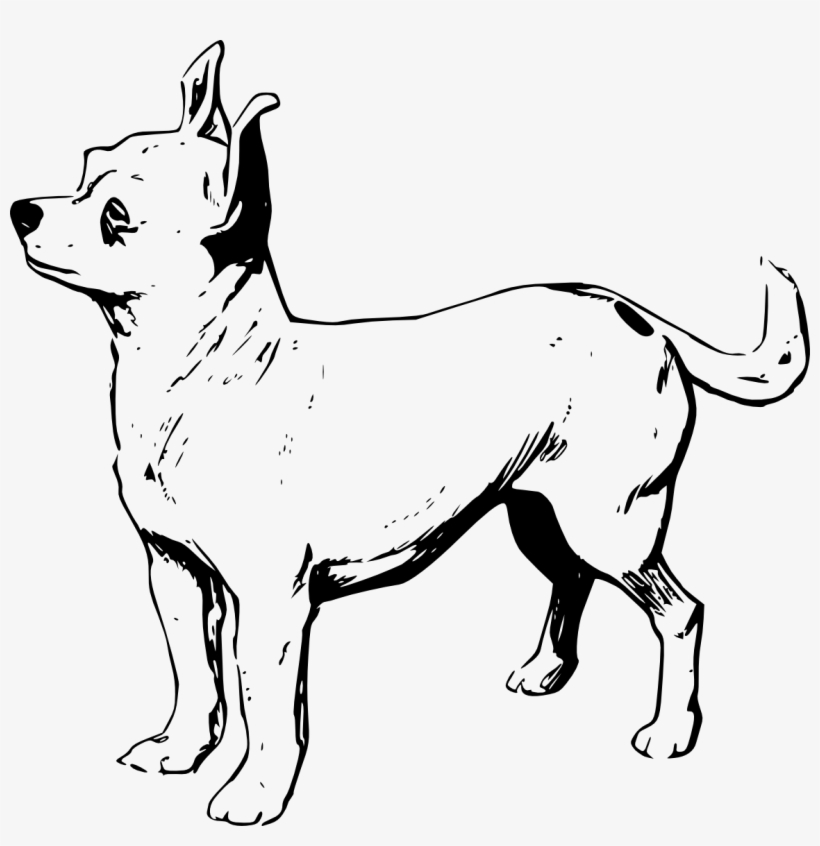 Aardvark Free Chihuahua - Black And White Chihuahua Clip Art, transparent png #5920690