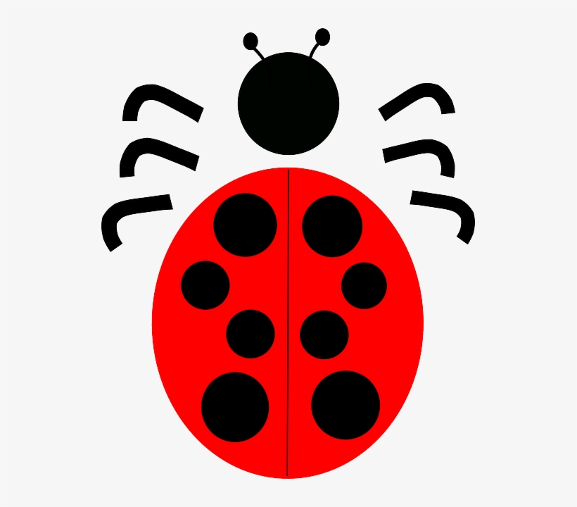 Ladybug Clipart Kumbang - Ladybird Beetle, transparent png #5920951
