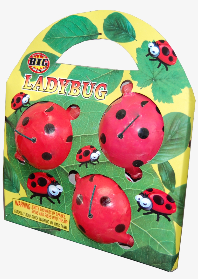 Ladybird Beetle, transparent png #5921105