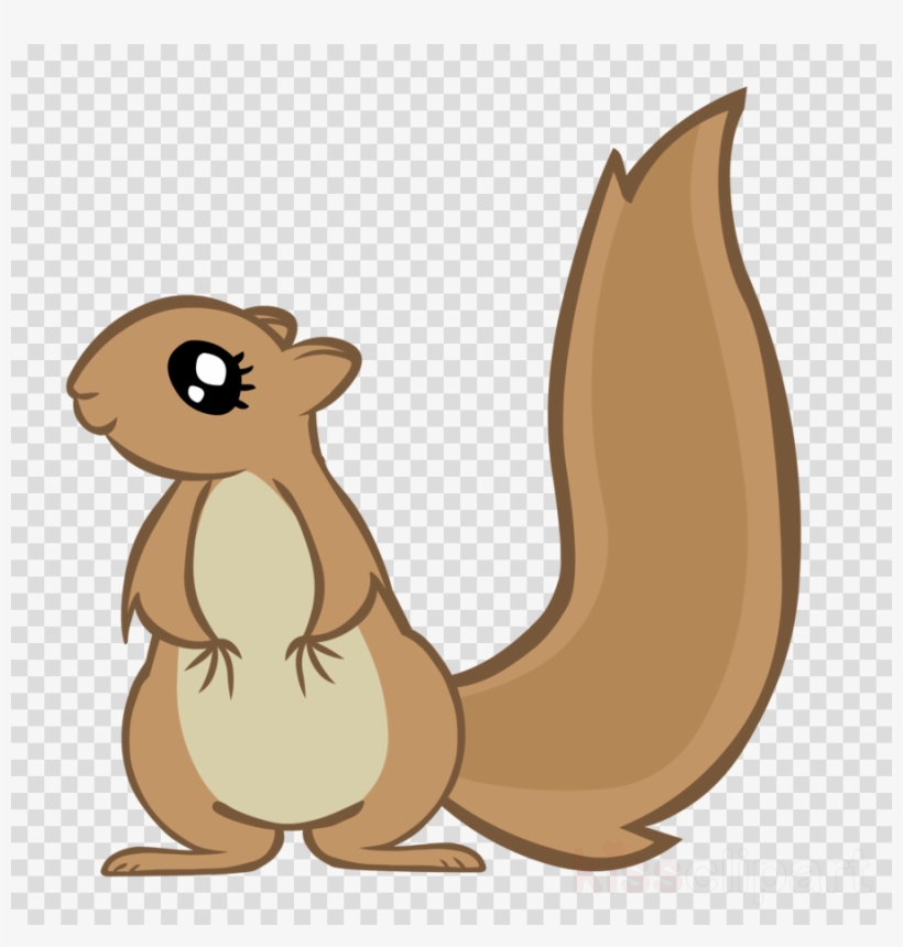 Cute Squirrel Png Clipart Squirrel Clip Art - Transparent Background Squirrel Clipart, transparent png #5921109