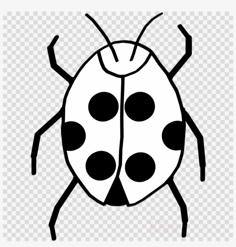 Download Of Bug Black And White Clipart Beetle Clip - Bug Black And