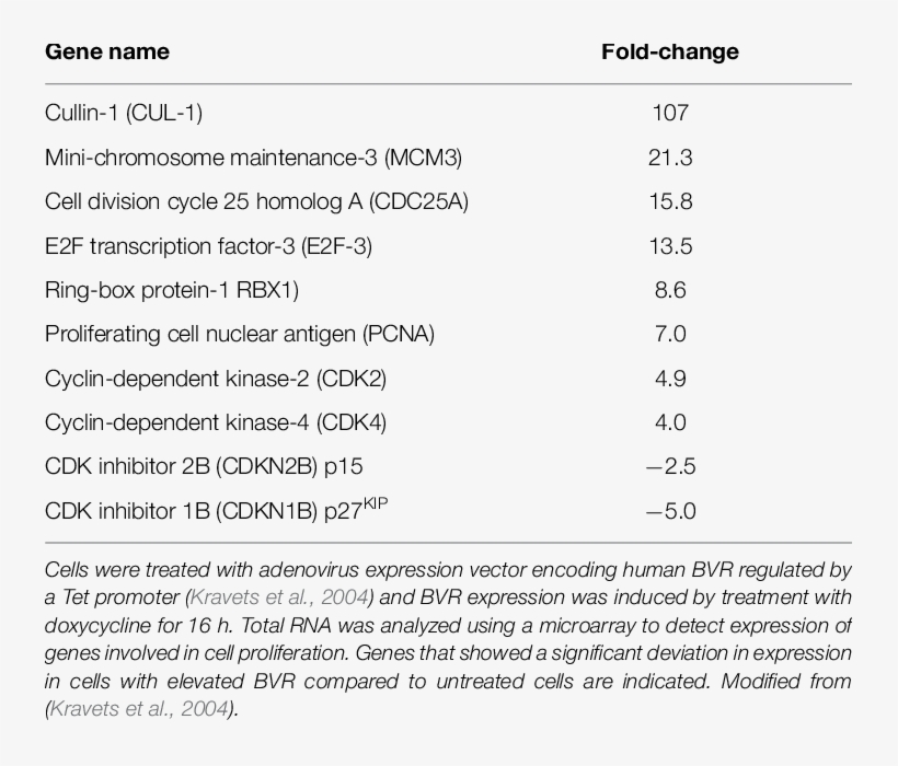 Cell Proliferation Genes Activated By Over-expressed - Frame 2, transparent png #5921301