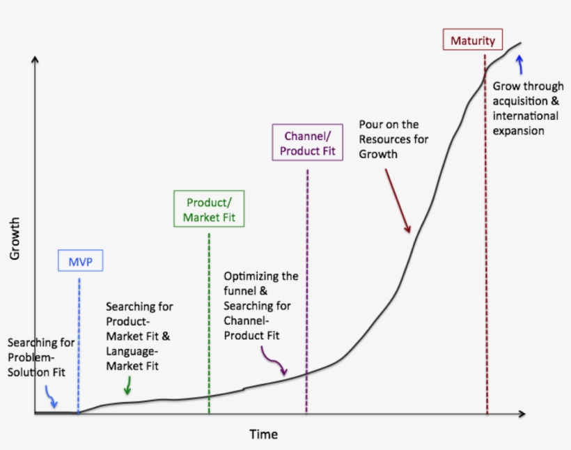 5 Phases Of The Startup Lifecycle, transparent png #5922331