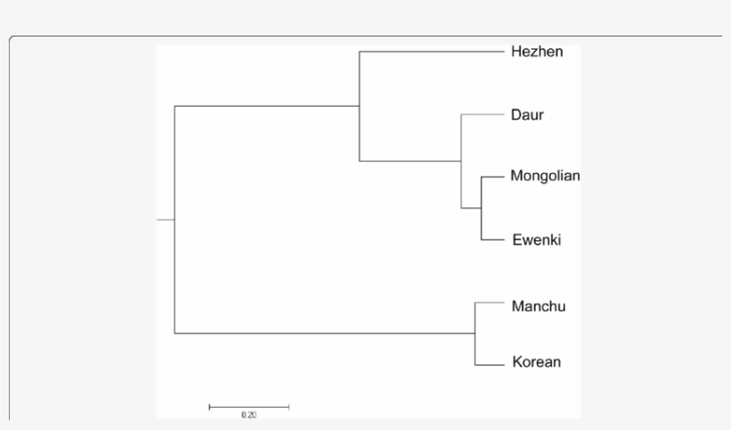 Dendrogram Based On Nei's Genetic Distance - Diagram, transparent png #5922970