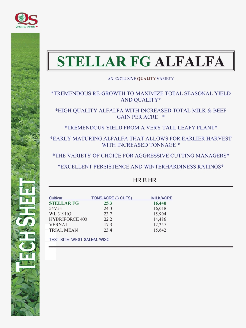 Stellar Fg Alfalfa - Alfalfa, transparent png #5924668