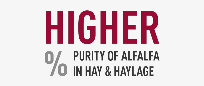 Broadest Application Flexibility - Matthew 25 Ministries Hunger 5k, transparent png #5925198