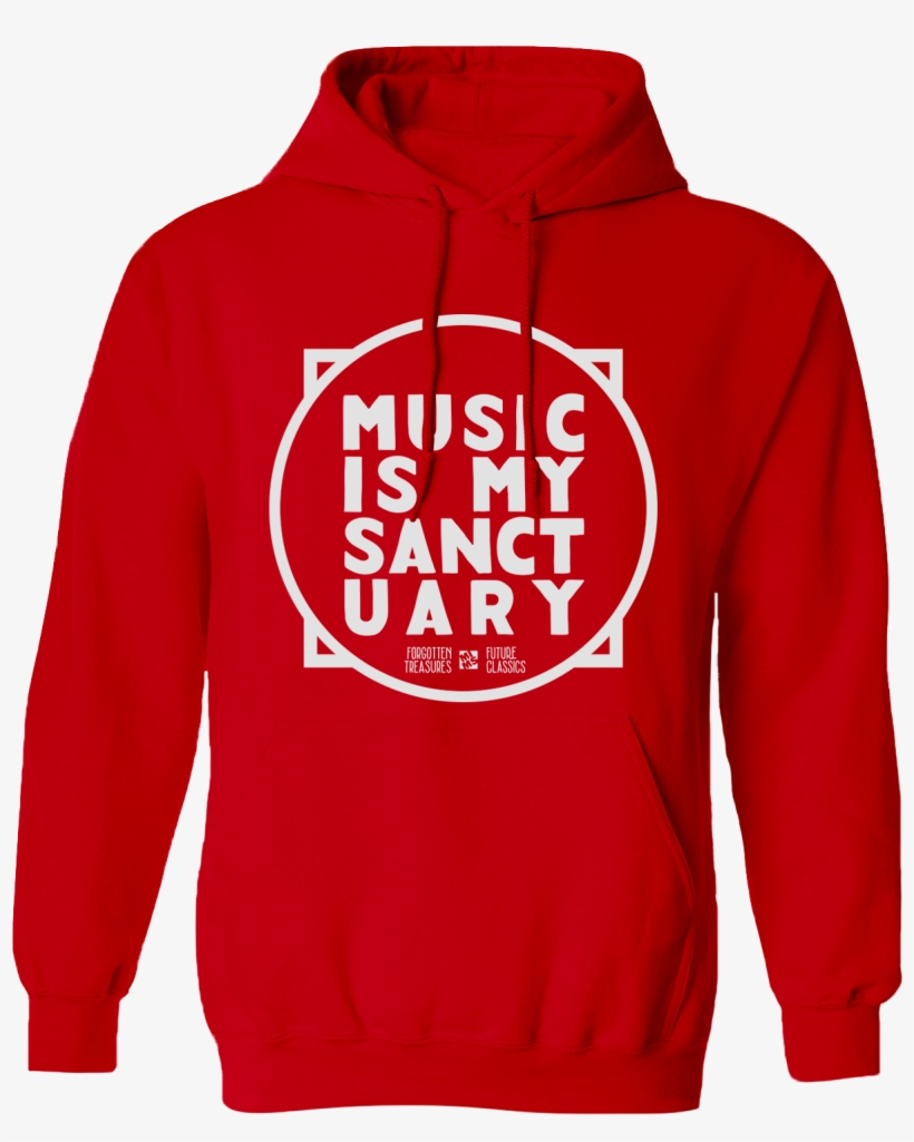 Big Logo Mims Hoodie - Northern Illinois University Sweatshirt, transparent png #5926603