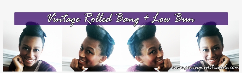 Rolled Bang Low Bun - Pitbull Kennels, transparent png #5926661