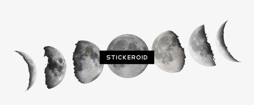 Moon Universe - Moon Phases Black And White, transparent png #5926773