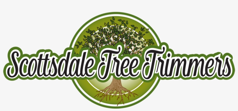 Saguaro Cactus Removal - Graphic Design, transparent png #5927284