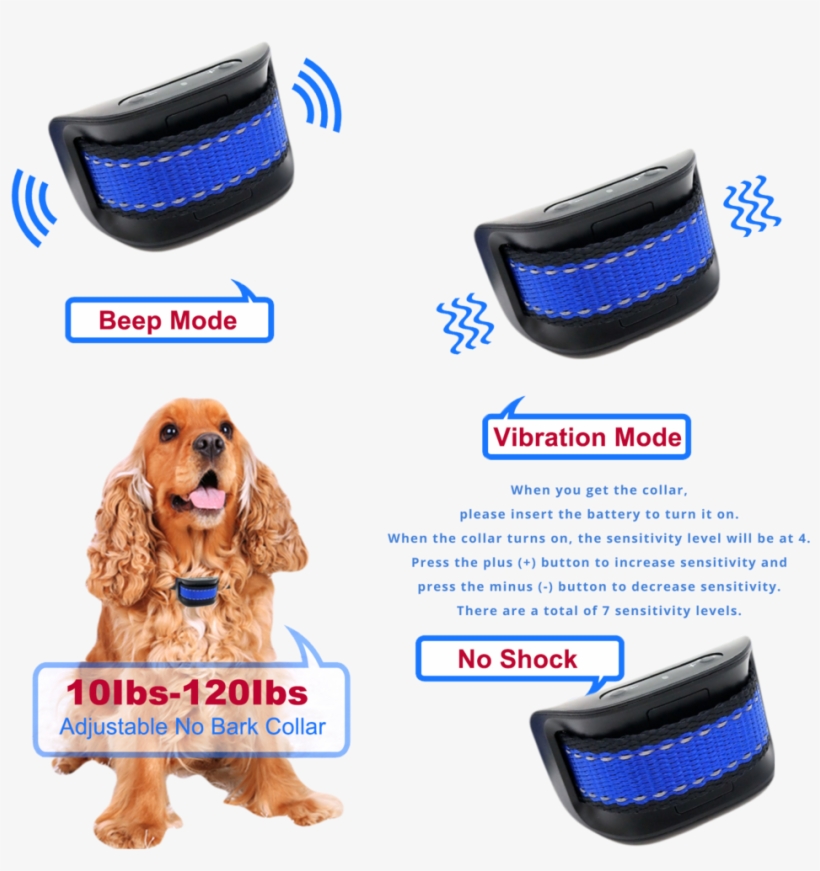 Double Tap To Zoom - Dog, transparent png #5927386