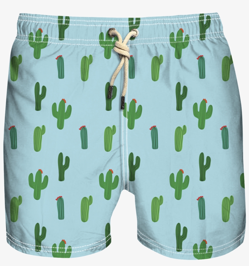 Cactus V=1534219983 - Cactus, transparent png #5928324