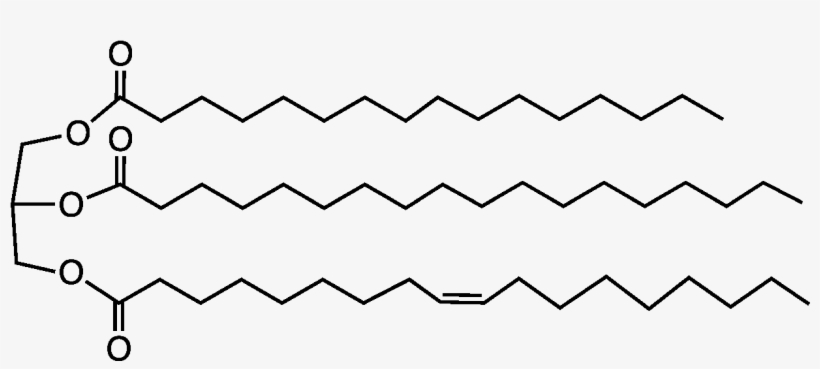 File - Cocoabuttriglyc - Shea Butter Chemical Structure, transparent png #5928792