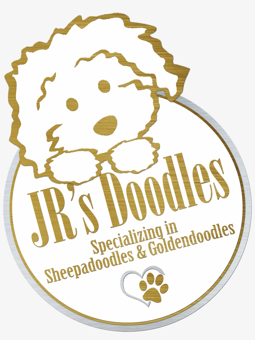 Jr's Doodles - Doodle, transparent png #5929872