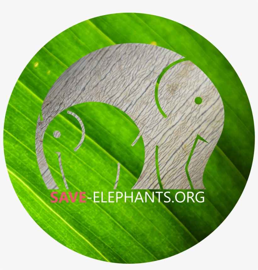 Biking In Northern Congo - Emblem, transparent png #5933168