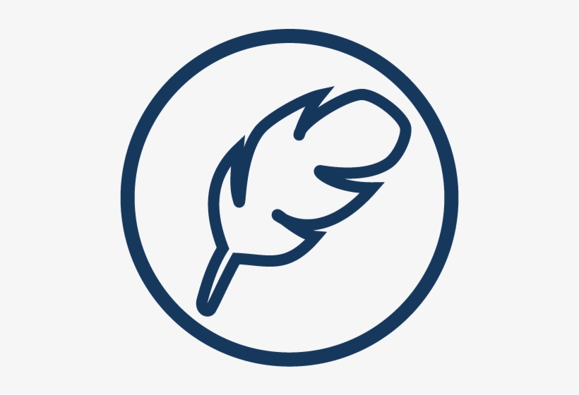 Best Hammocks Ever - Hammock, transparent png #5933466