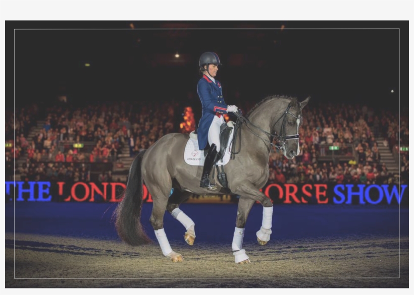 We Wish A Happy Retirement To This Horse In A Million - Charlotte Dujardin Flying Changes Coats, transparent png #5933991