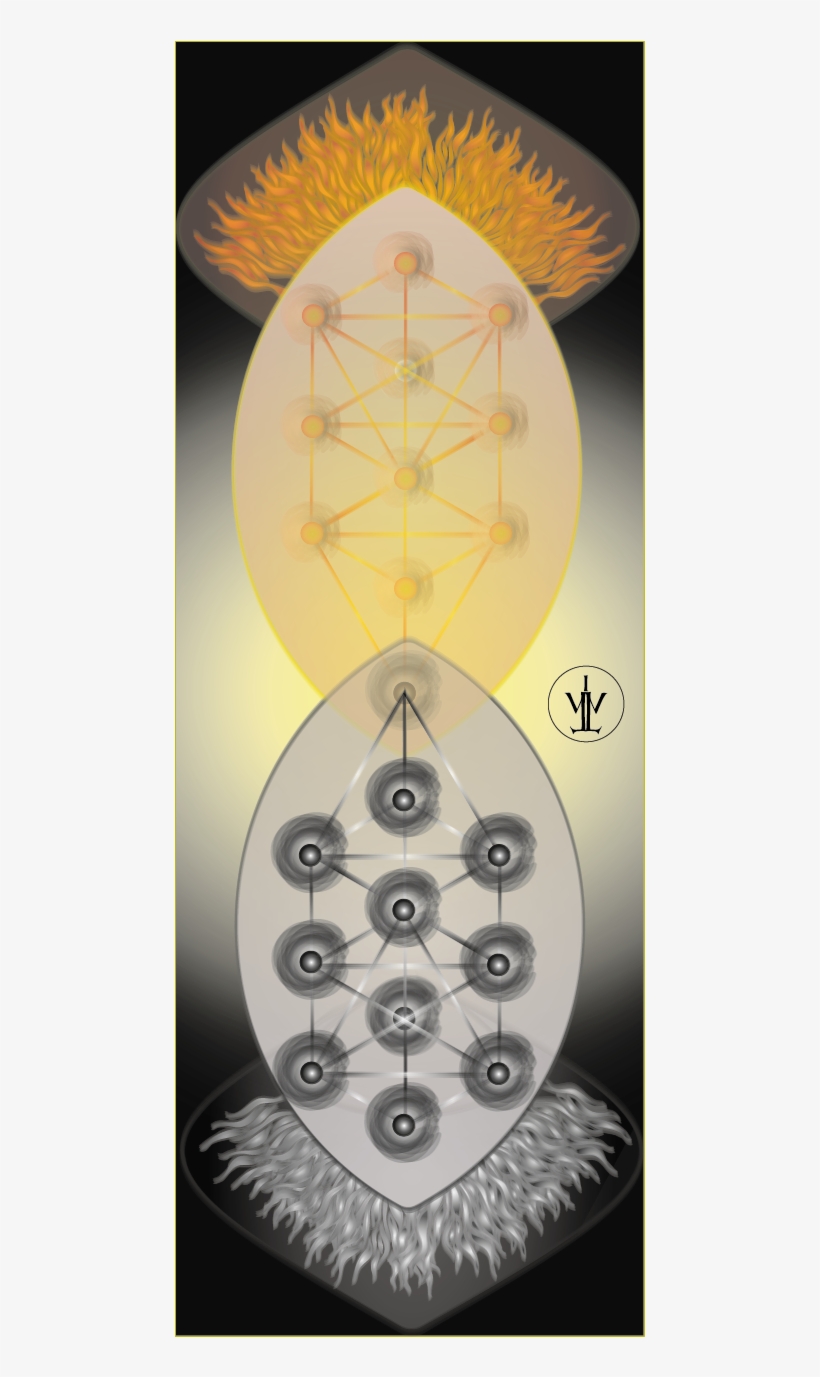 Tree Of Life And Death - Tree Of Life, transparent png #5934167