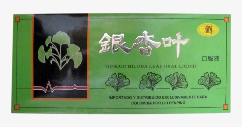 Ginkgo Biloba - Product, transparent png #5935261