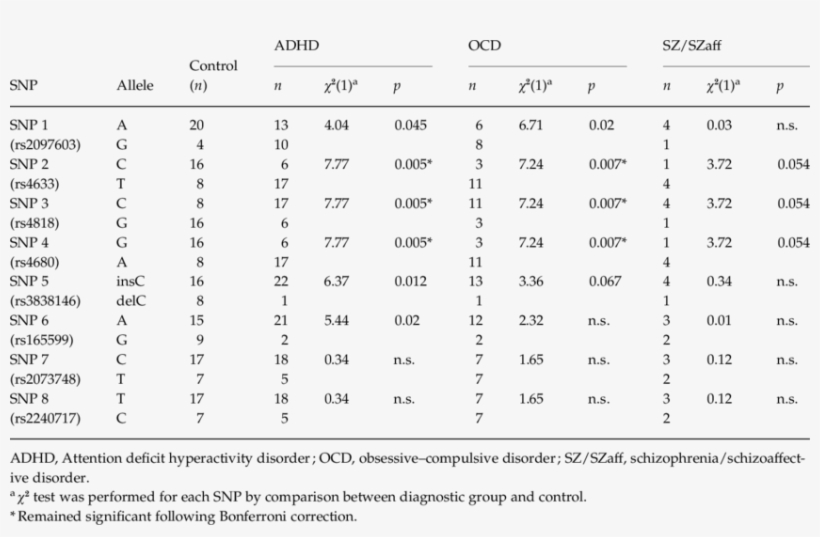 Allele Distribution Of Eight Snps In 22q11 - Document, transparent png #5935636
