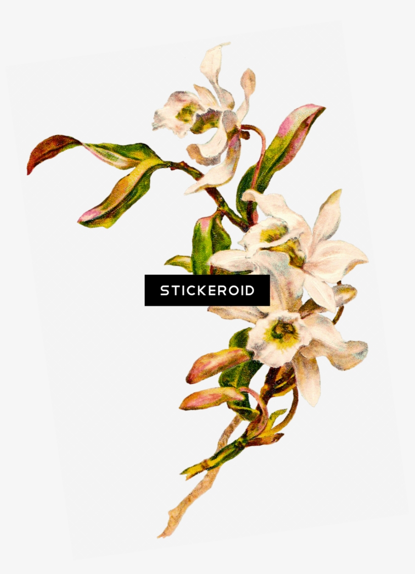 Flowers Bouquet, transparent png #5936038