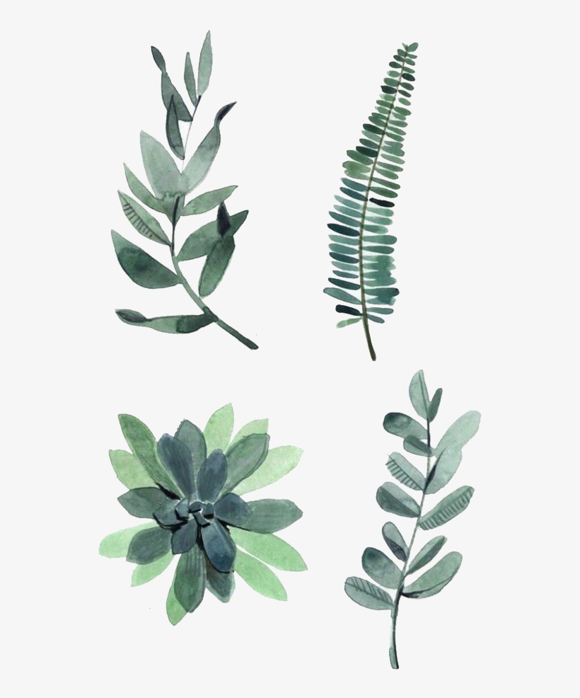 Watercolor Leaves Png Photos, transparent png #5938680