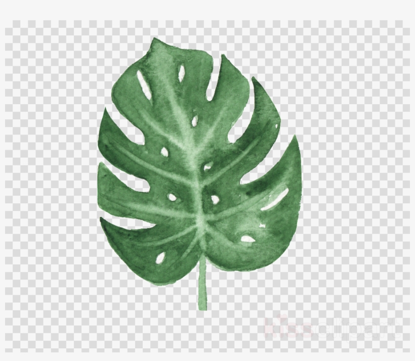 Transparent Watercolor Leaf Png, transparent png #5939027