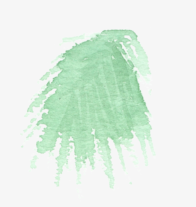 Hand Painted Simple Coniferous Leaves Watercolor Transparent - Watercolor Painting, transparent png #5939285