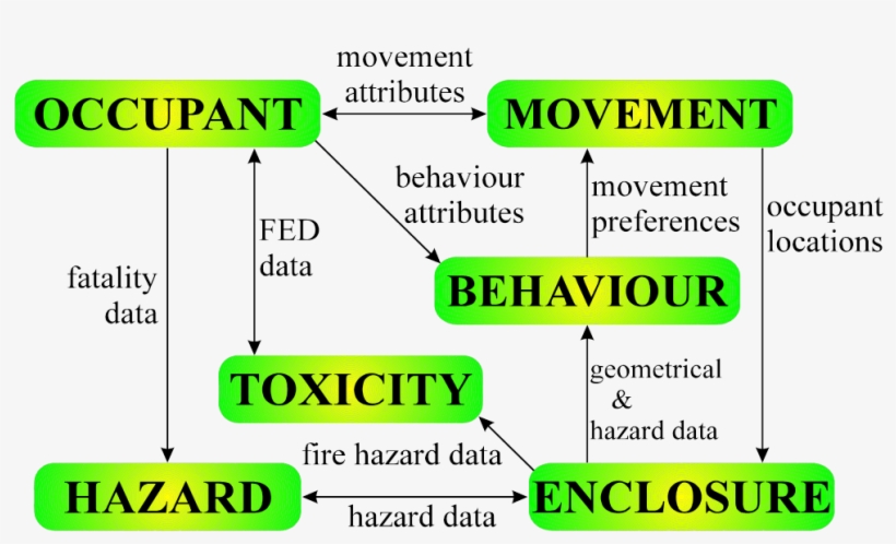 The Escape Strategy Chosen By Each Individual Is A - Diagram, transparent png #5941529