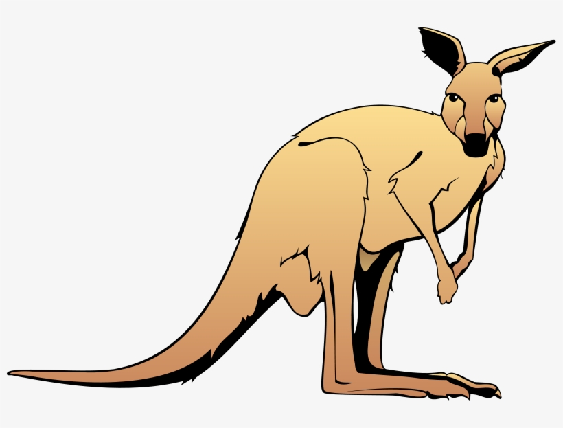 Kangaroo Animal Clipart Free Images - Kangaroo Clipart, transparent png #5944562