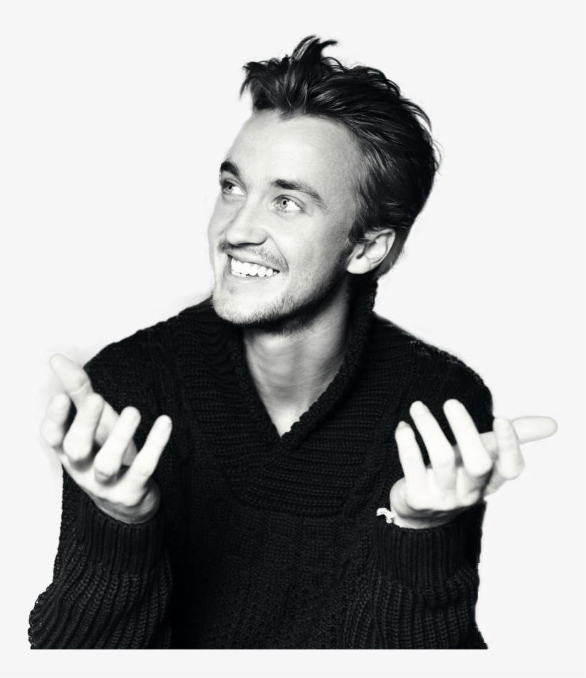Tom Felton Png - Tom Felton, transparent png #5944808