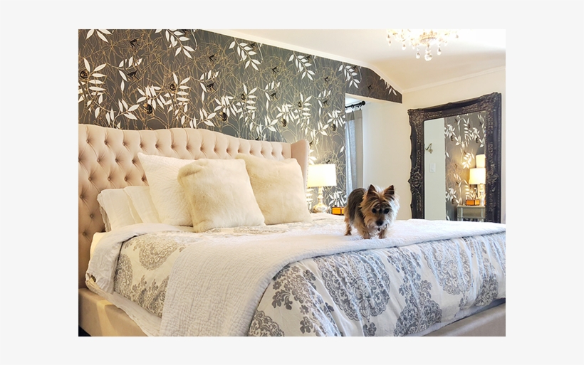 Monkeys At Midnight Monkeys, Spider, Rompers, Spiders, - Spider Monkey, transparent png #5944973