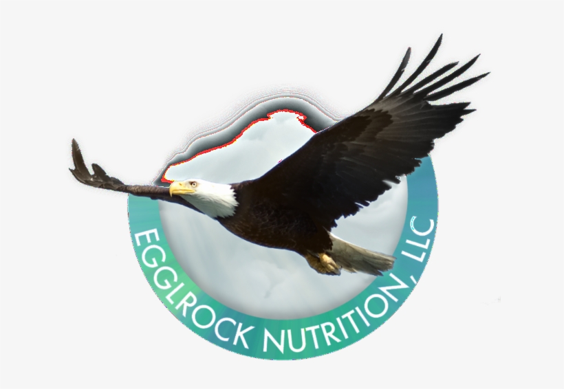 Laura L Rokosz, Phd - Dr. Laura L Rokosz, transparent png #5946410