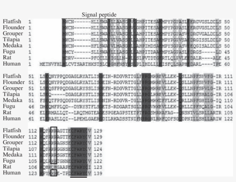 Alignment Of Orange-spotted Grouper Uii Precursor With - Monochrome, transparent png #5949291
