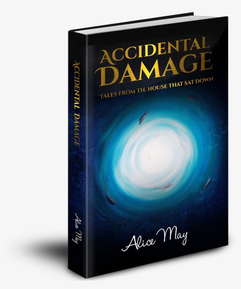 Accidental Damage 3d Transparent Background - Book Cover, transparent png #5951384