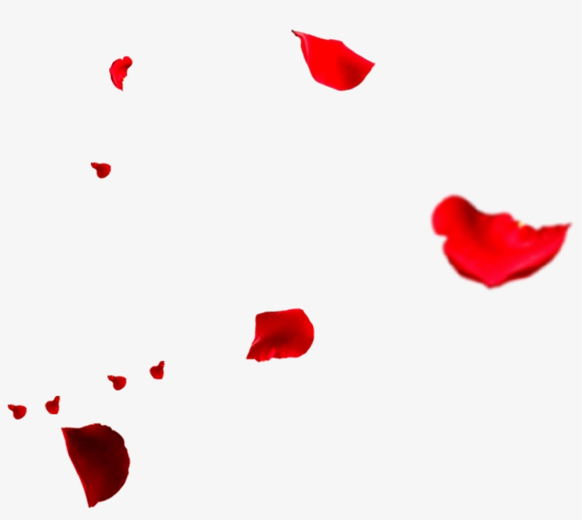 Rose Flower Petals Falling Transprent Png Free - Falling Rose Petals Png, transparent png #5956814