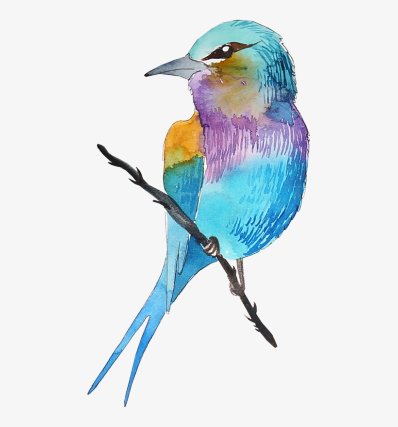Birds, Birds, Drawing, Png, Color - Dessin De Oiseau En Couleur, transparent png #5957282