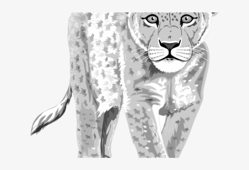 Leopard Clipart Clip Art - Leopard Got His Spots Worksheet, transparent png #5957873