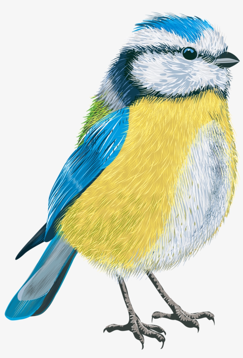 Фото, Автор Soloveika На Яндекс - Tit Vector, transparent png #5957994