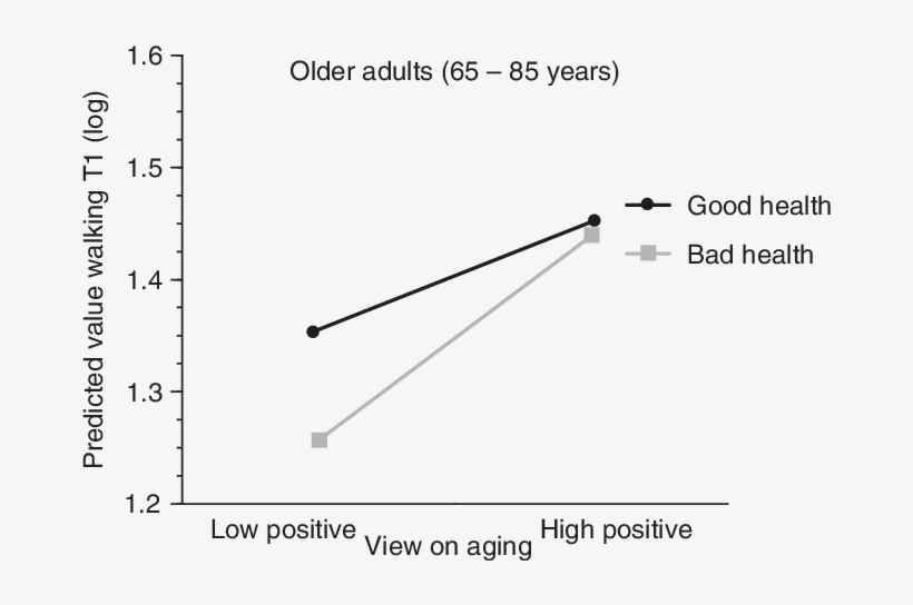 Cross-sectional Interaction Effect Of A Pva Â Health - Interaction, transparent png #5959405